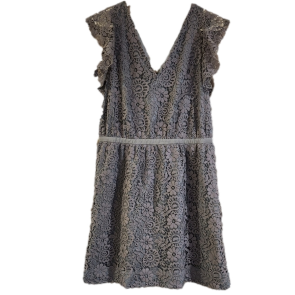 Madewell Lace Flutter Sleeve Dress Size 10 Blue